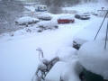 snow1