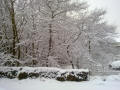 snow2