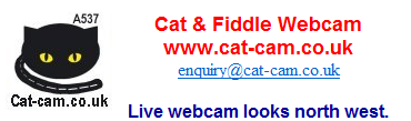 Catcam