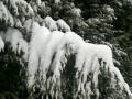 Coooooold