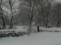 Peaceful in white