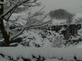 Old quarry in winter