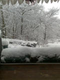 Inside looking out