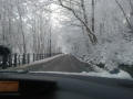 Dukes Drive 4